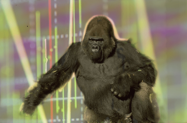 BG data gorilla