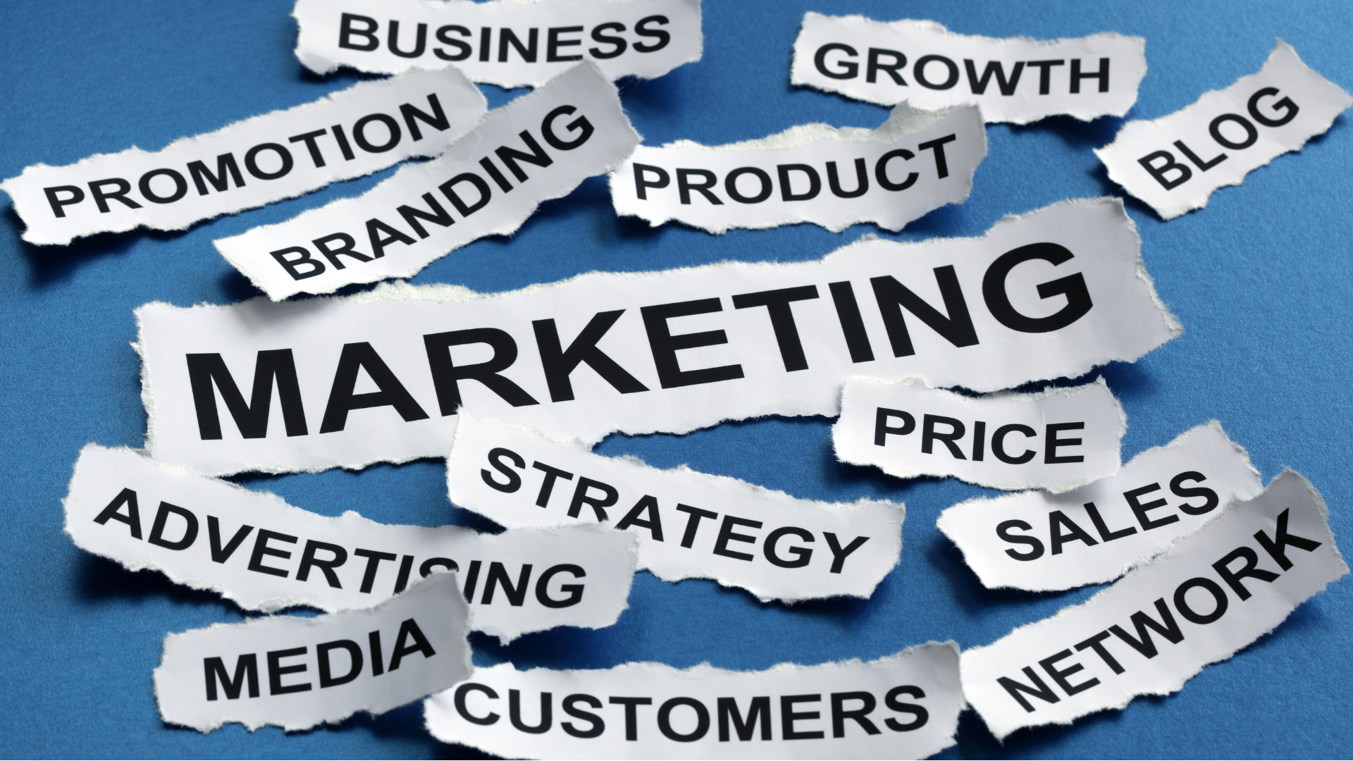 Everything You Want to Know About Online Marketing Associate’s Degrees